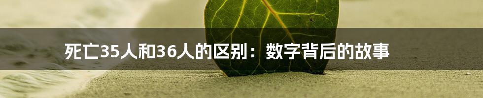 死亡35人和36人的区别：数字背后的故事