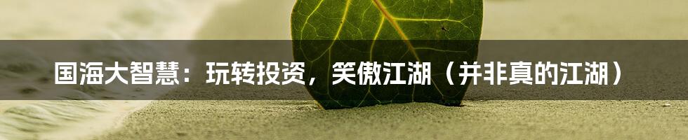 国海大智慧:玩转投资,笑傲江湖(并非真的江湖)