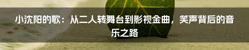 小沈阳的歌：从二人转舞台到影视金曲，笑声背后的音乐之路