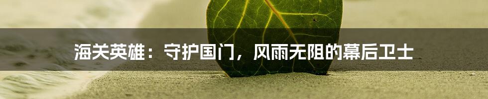 海关英雄:守护国门,风雨无阻的幕后卫士