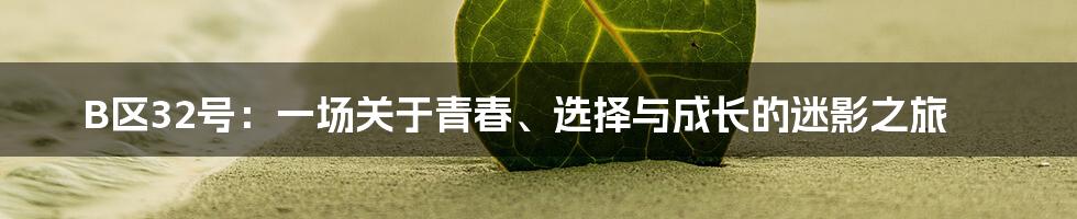 B区32号:一场关于青春、选择与成长的迷影之旅