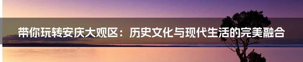 带你玩转安庆大观区：历史文化与现代生活的完美融合