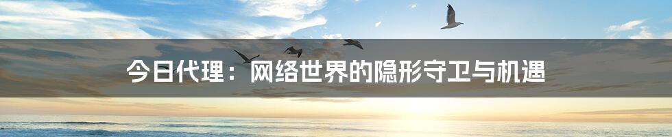 今日代理：网络世界的隐形守卫与机遇