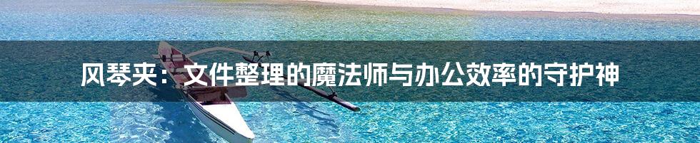 风琴夹：文件整理的魔法师与办公效率的守护神