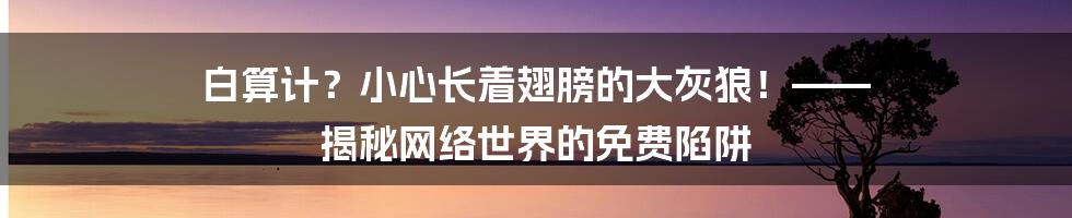 白算计？小心长着翅膀的大灰狼！—— 揭秘网络世界的免费陷阱
