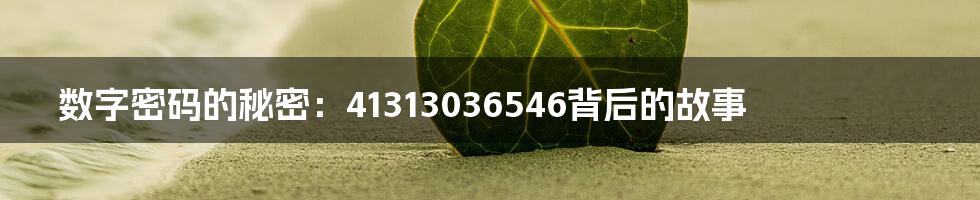 数字密码的秘密：41313036546背后的故事