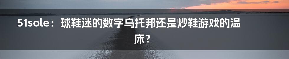 51sole：球鞋迷的数字乌托邦还是炒鞋游戏的温床？