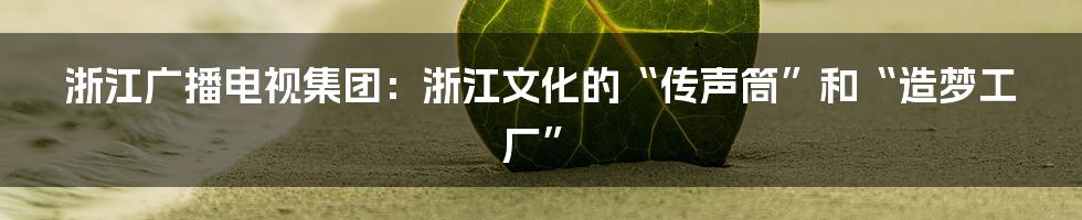 浙江广播电视集团:浙江文化的“传声筒”和“造梦工厂”