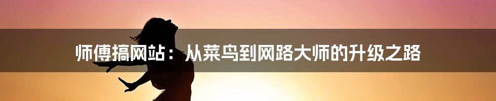 师傅搞网站:从菜鸟到网路大师的升级之路