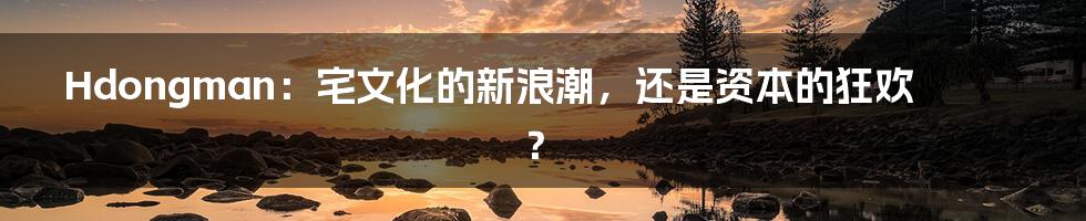 Hdongman:宅文化的新浪潮,还是资本的狂欢?