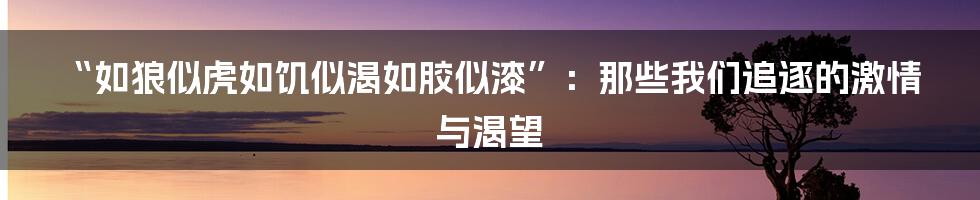 “如狼似虎如饥似渴如胶似漆”：那些我们追逐的激情与渴望