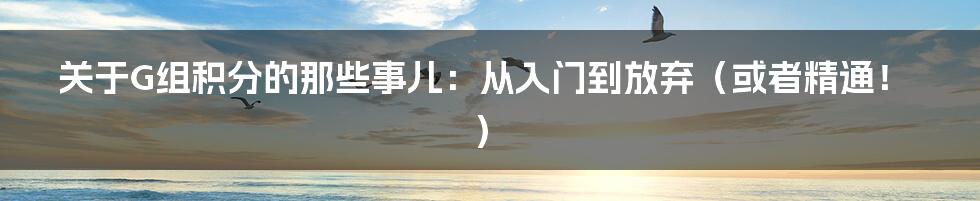 关于G组积分的那些事儿：从入门到放弃（或者精通！）