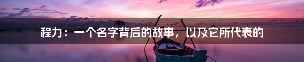 程力：一个名字背后的故事，以及它所代表的