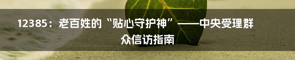 12385:老百姓的“贴心守护神”——中央受理群众信访指南