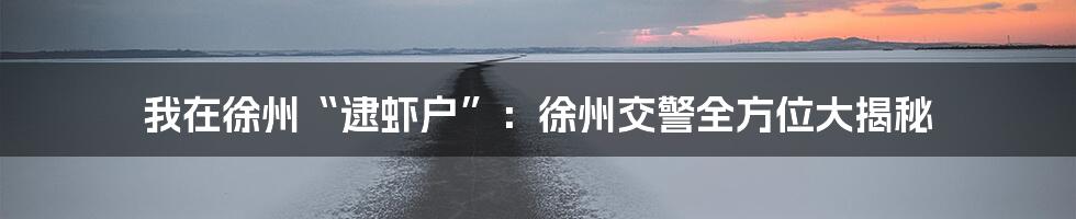 我在徐州“逮虾户”:徐州交警全方位大揭秘