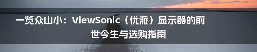 一览众山小：ViewSonic（优派）显示器的前世今生与选购指南