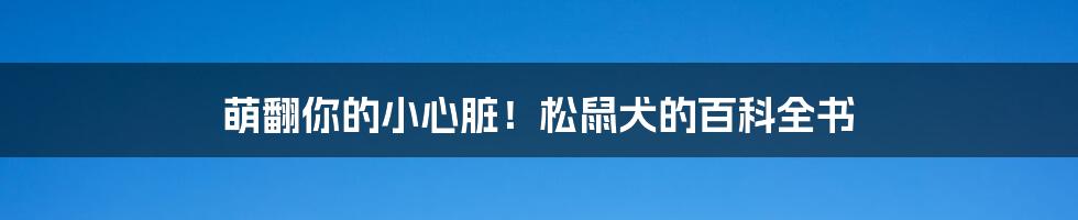 萌翻你的小心脏!松鼠犬的百科全书