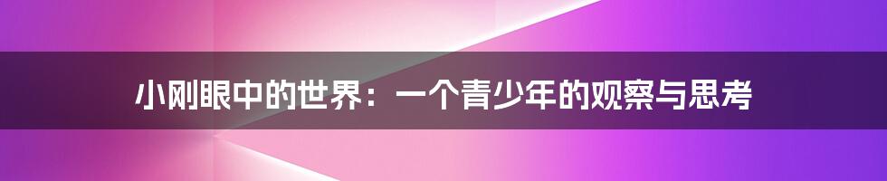 小刚眼中的世界:一个青少年的观察与思考