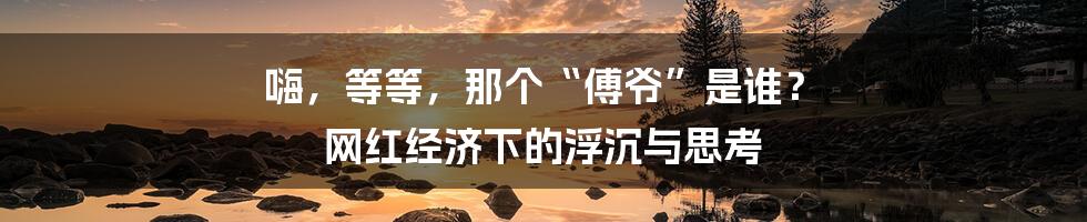 嗨,等等,那个“傅爷”是谁? 网红经济下的浮沉与思考