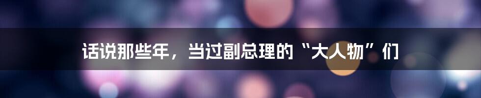 话说那些年,当过副总理的“大人物”们