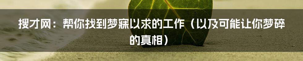 搜才网:帮你找到梦寐以求的工作(以及可能让你梦碎的真相)