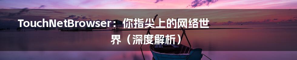 TouchNetBrowser：你指尖上的网络世界（深度解析）
