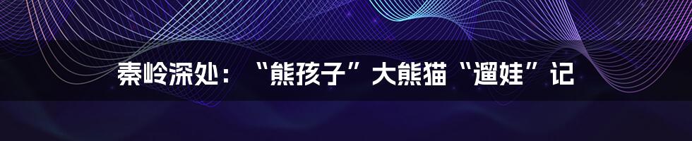 秦岭深处:“熊孩子”大熊猫“遛娃”记
