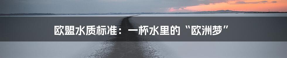 欧盟水质标准：一杯水里的“欧洲梦”