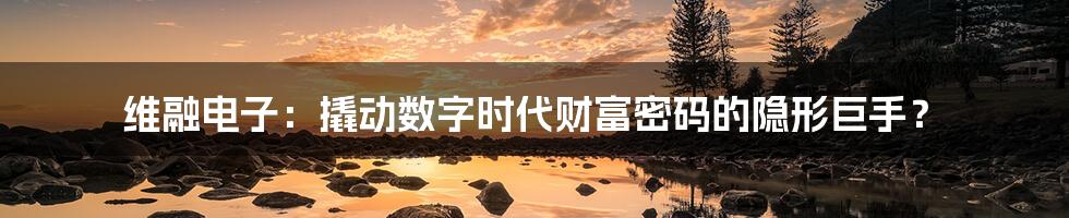 维融电子:撬动数字时代财富密码的隐形巨手?