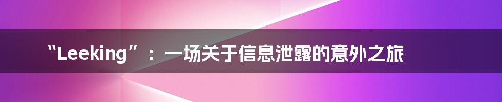 “Leeking”:一场关于信息泄露的意外之旅