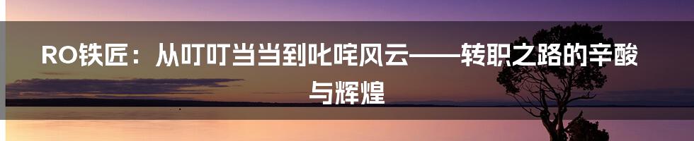 RO铁匠:从叮叮当当到叱咤风云——转职之路的辛酸与辉煌