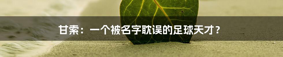 甘索：一个被名字耽误的足球天才？