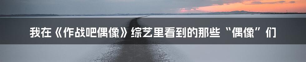 我在《作战吧偶像》综艺里看到的那些“偶像”们