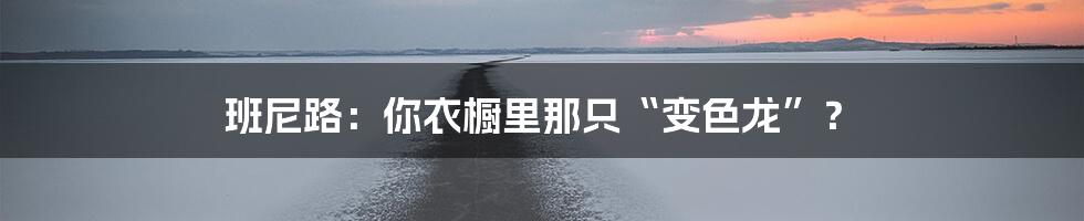 班尼路:你衣橱里那只“变色龙”?