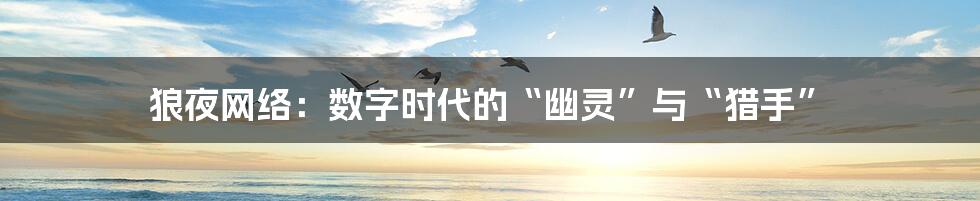 狼夜网络:数字时代的“幽灵”与“猎手”