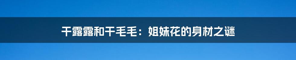 干露露和干毛毛:姐妹花的身材之谜