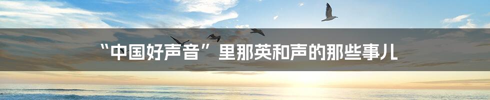 “中国好声音”里那英和声的那些事儿