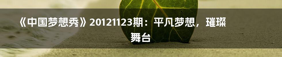 《中国梦想秀》20121123期：平凡梦想，璀璨舞台
