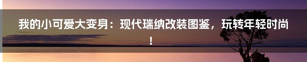 我的小可爱大变身：现代瑞纳改装图鉴，玩转年轻时尚！