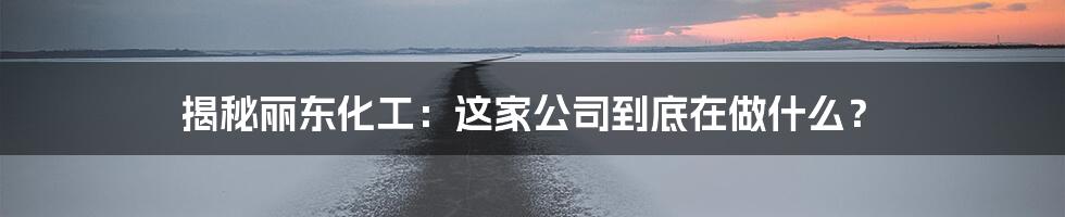 揭秘丽东化工:这家公司到底在做什么?