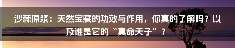 沙棘原浆:天然宝藏的功效与作用,你真的了解吗?以及谁是它的“真命天子”?