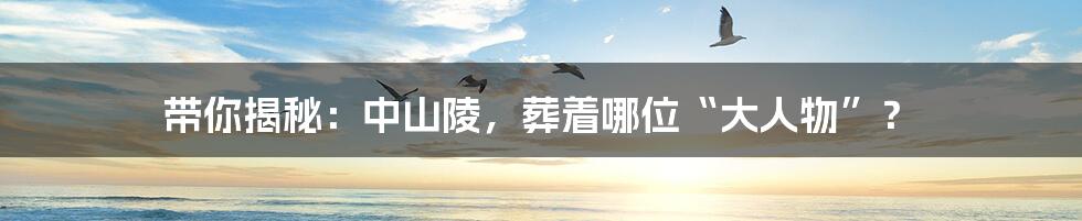 带你揭秘：中山陵，葬着哪位“大人物”？