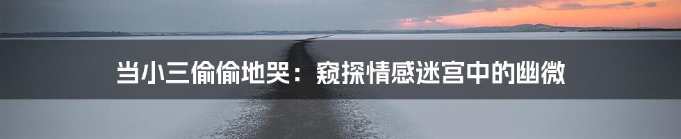 当小三偷偷地哭：窥探情感迷宫中的幽微