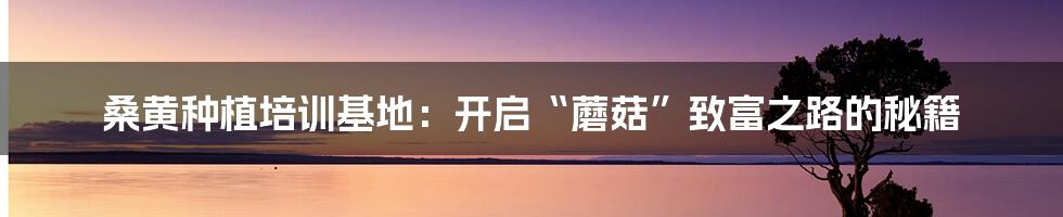 桑黄种植培训基地:开启“蘑菇”致富之路的秘籍