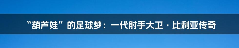 “葫芦娃”的足球梦：一代射手大卫·比利亚传奇