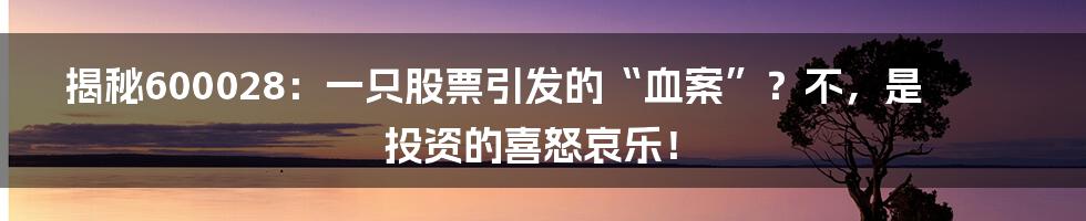 揭秘600028：一只股票引发的“血案”？不，是投资的喜怒哀乐！