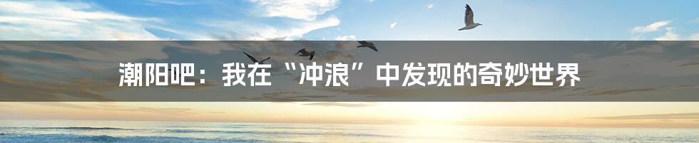 潮阳吧：我在“冲浪”中发现的奇妙世界