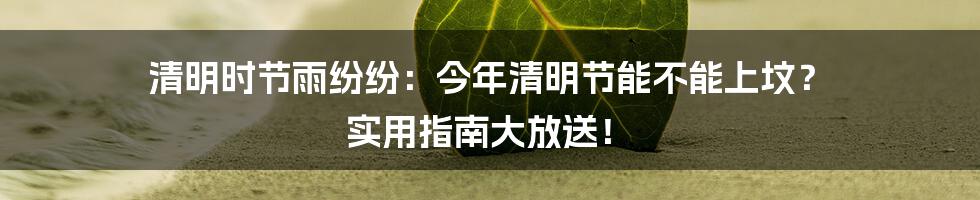 清明时节雨纷纷:今年清明节能不能上坟? 实用指南大放送!