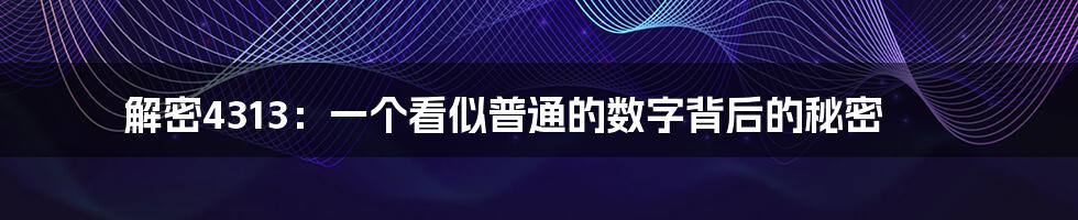 解密4313：一个看似普通的数字背后的秘密