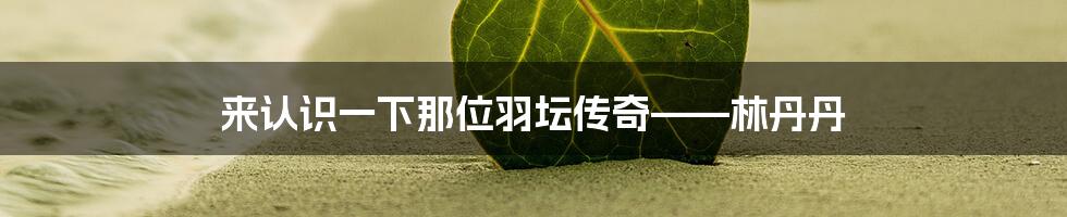 来认识一下那位羽坛传奇——林丹丹
